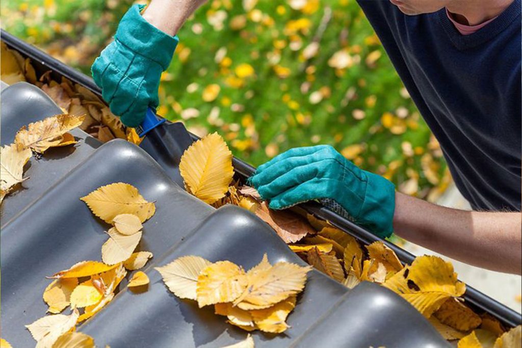 Gutter cleared of debris to prevent blockages