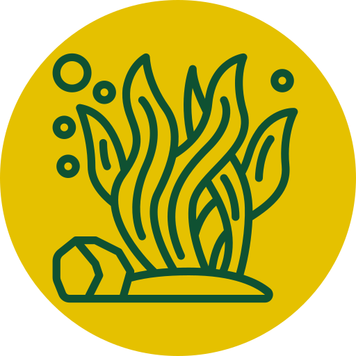 Algae treatment icon